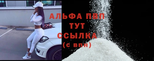ПСИЛОЦИБИНОВЫЕ ГРИБЫ Карталы