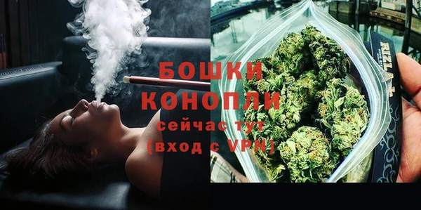 ПСИЛОЦИБИНОВЫЕ ГРИБЫ Карталы