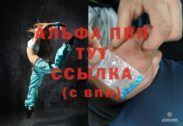 ПСИЛОЦИБИНОВЫЕ ГРИБЫ Карталы
