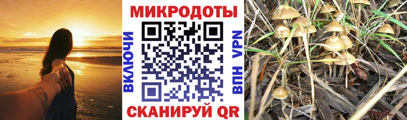 Купить закладки  Дальнереченск  Псилоцибиновые грибы мухоморы 